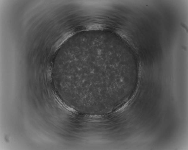 X0000100491401200806271226