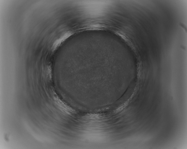 X0000100491402200806271226