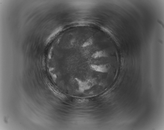 X0000100491403200806271226