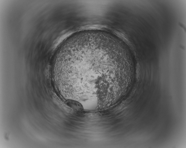 X0000100491404200806271226