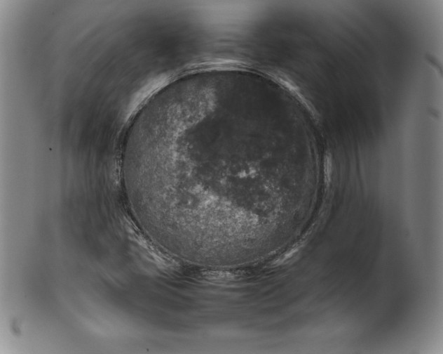 X0000100491405200806271226