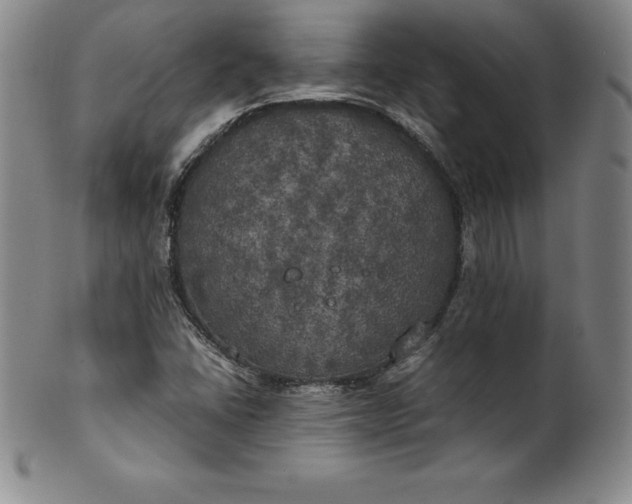 X0000100491406200806271226