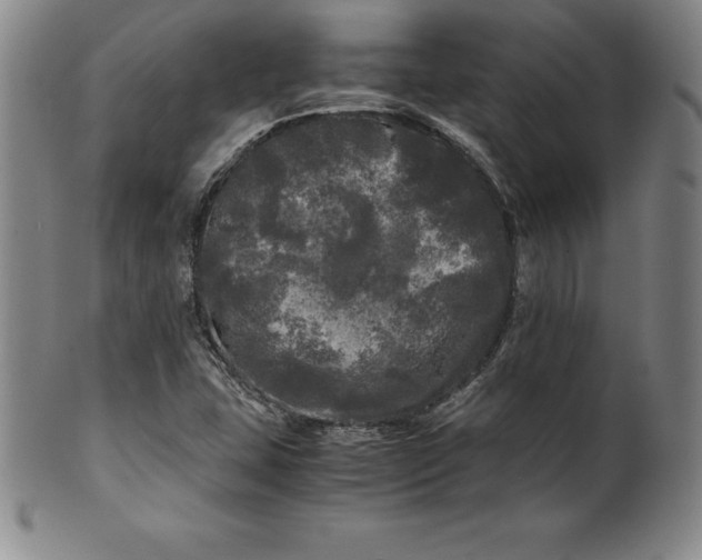 X0000100491407200806271226