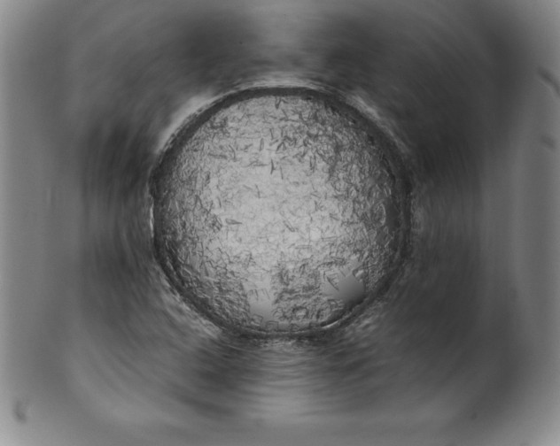 X0000100491408200806271226