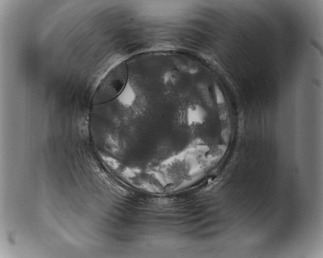 X0000100491409200806271226