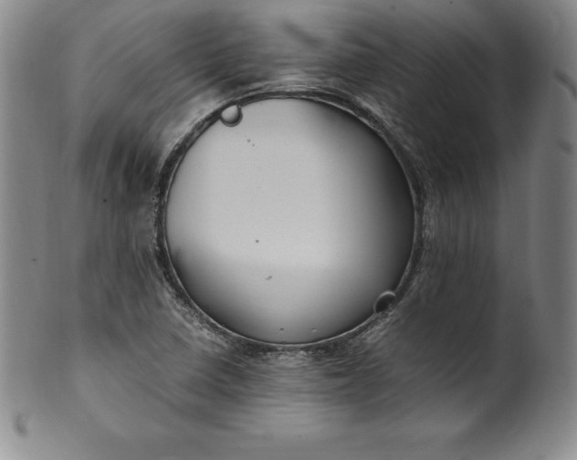 X0000100491410200806271226