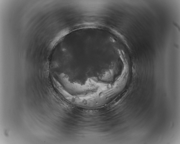 X0000100491411200806271226