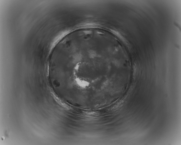 X0000100491413200806271226