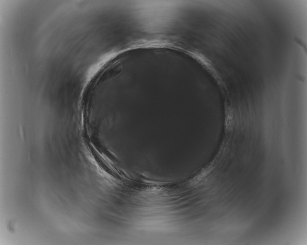 X0000100491414200806271226