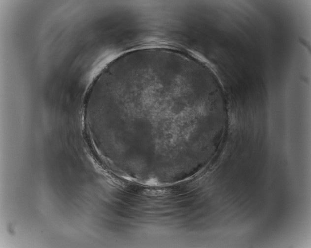 X0000100491415200806271226