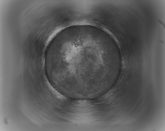 X0000100491416200806271226