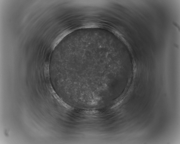 X0000100491417200806271226