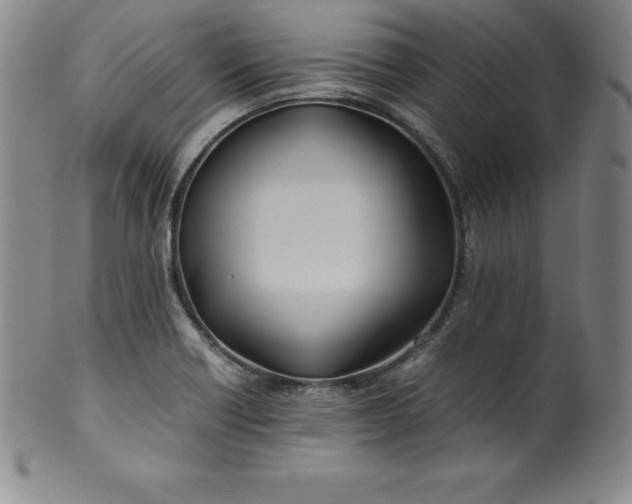 X0000100491418200806271226