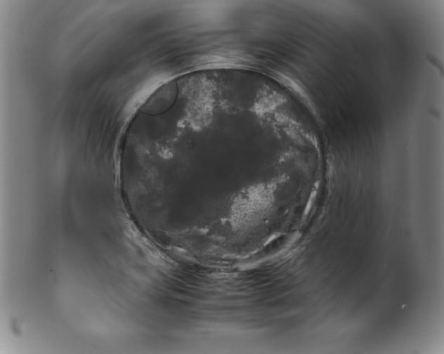 X0000100491419200806271226