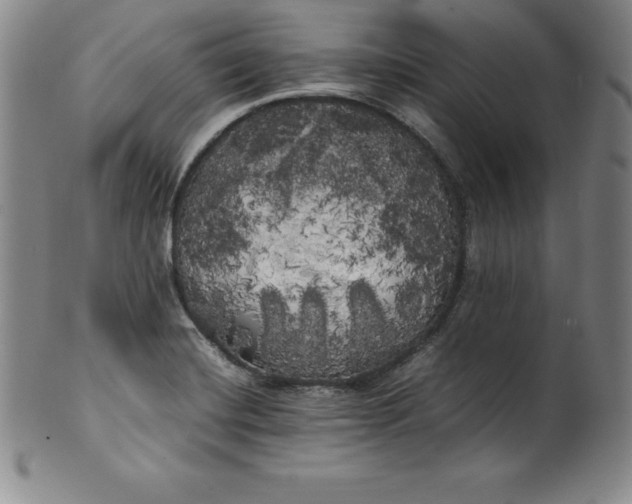 X0000100491420200806271226