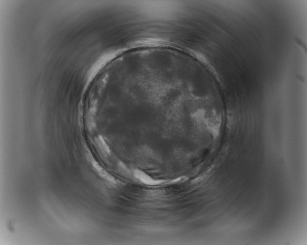 X0000100491421200806271226