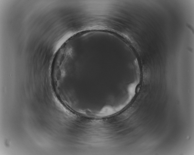 X0000100491422200806271226