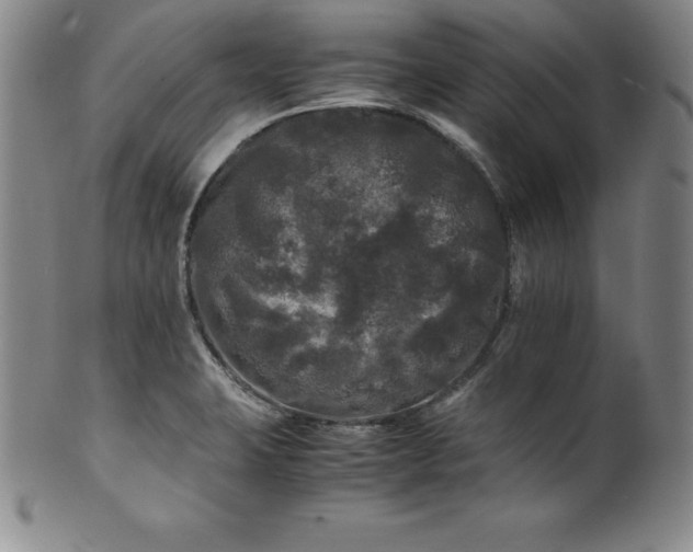 X0000100491423200806271226