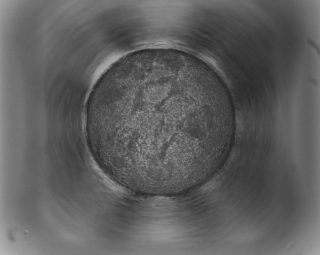 X0000100491424200806271226