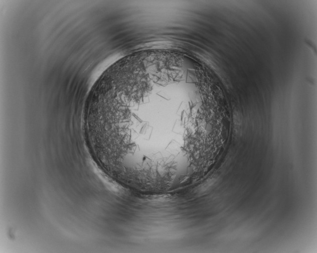 X0000100491426200806271226