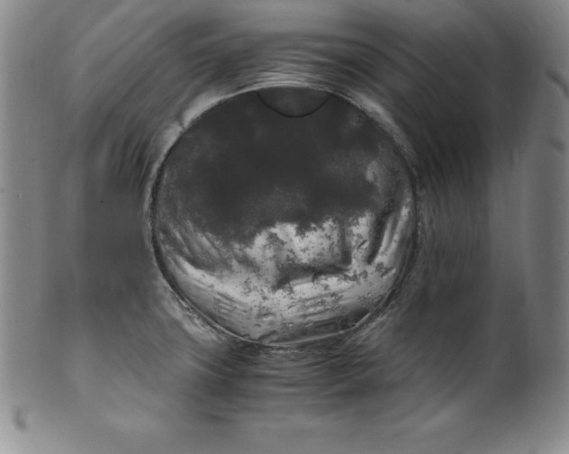 X0000100491427200806271226