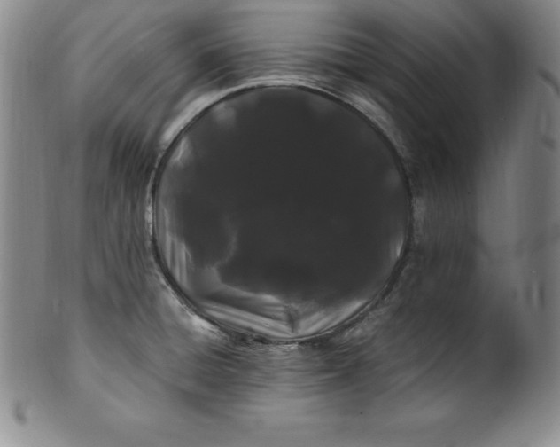 X0000100491428200806271226