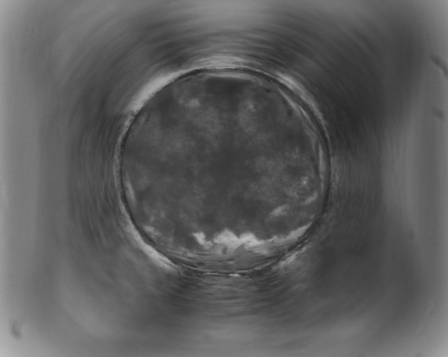 X0000100491429200806271226