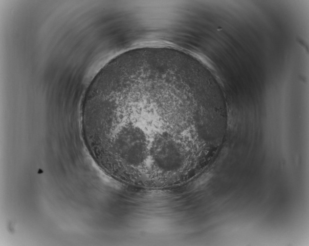 X0000100491430200806271226