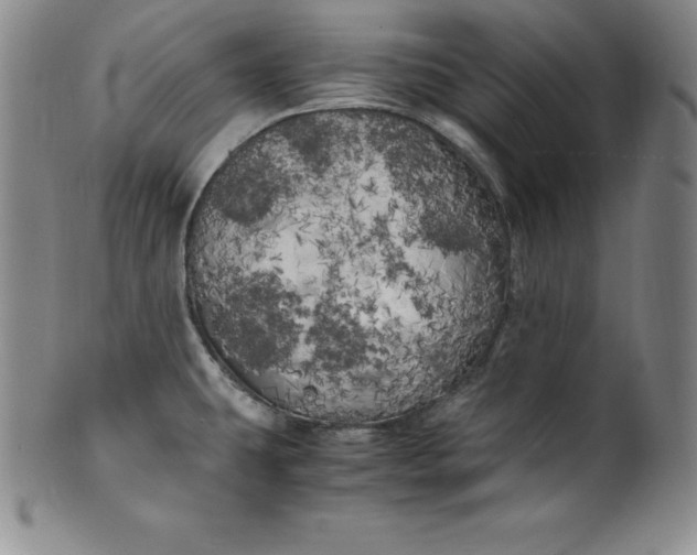 X0000100491431200806271226