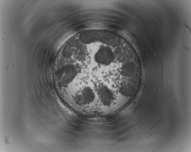 X0000100491433200806271226