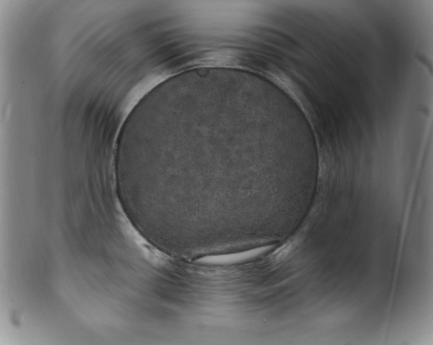 X0000100491434200806271226