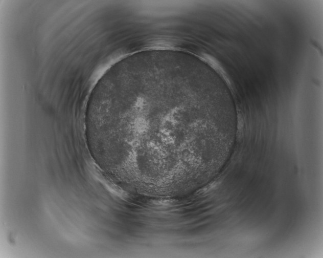 X0000100491435200806271226