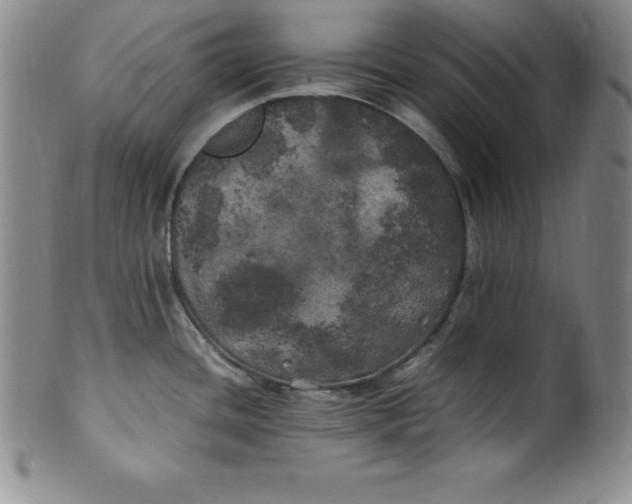 X0000100491436200806271226