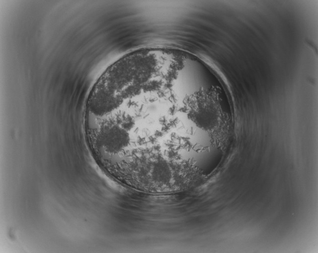 X0000100491437200806271226