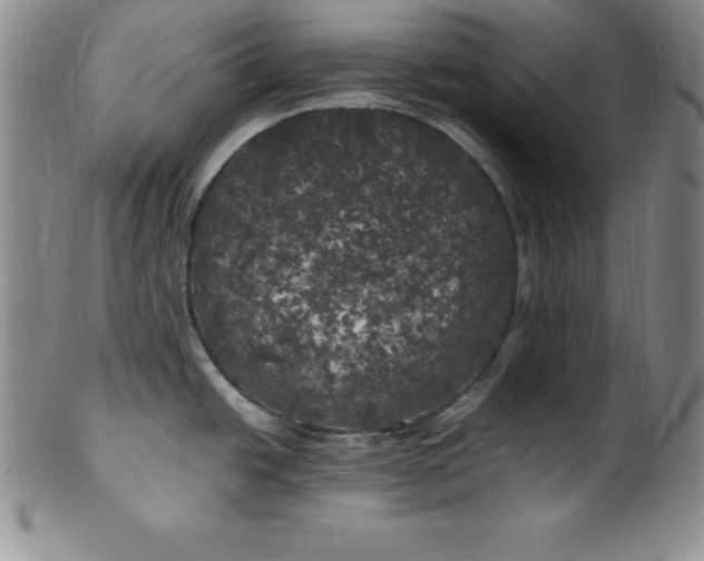 X0000100491438200806271226