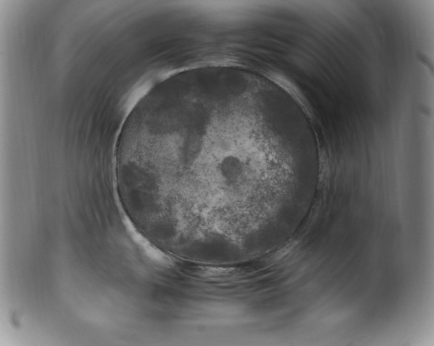 X0000100491439200806271226