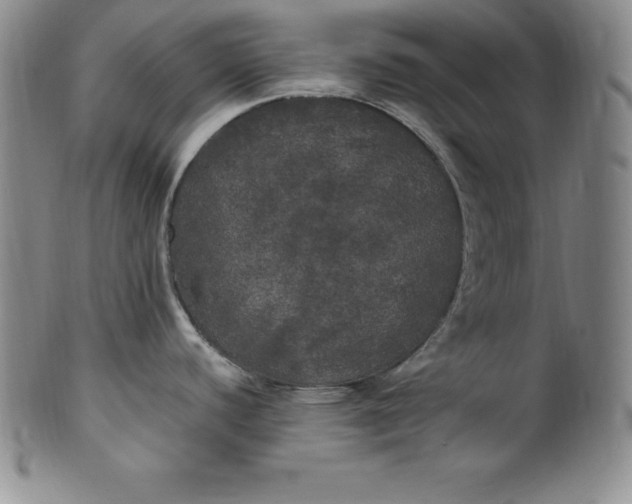 X0000100491440200806271226