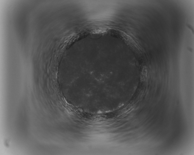 X0000100491441200806271226