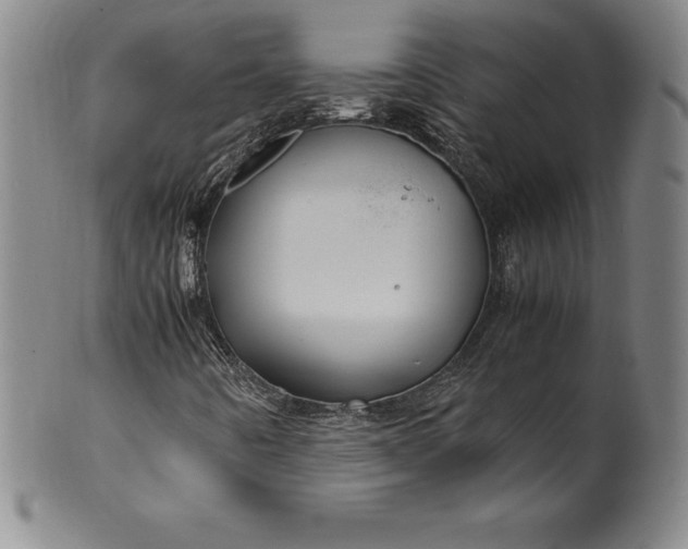 X0000100491442200806271226