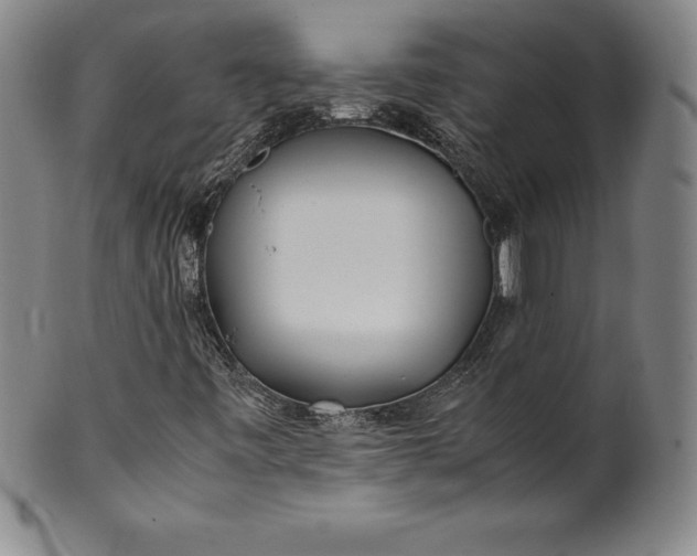 X0000100491443200806271226