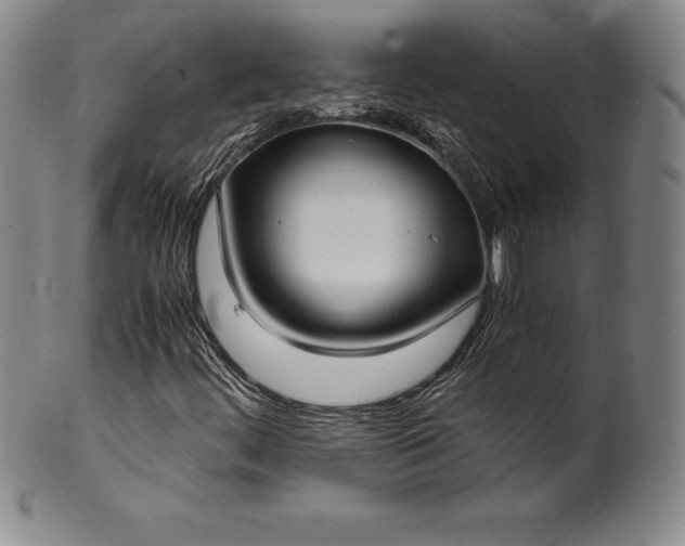 X0000100491444200806271226