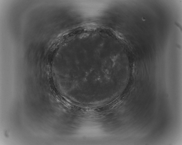 X0000100491445200806271226