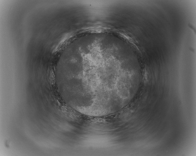 X0000100491446200806271226