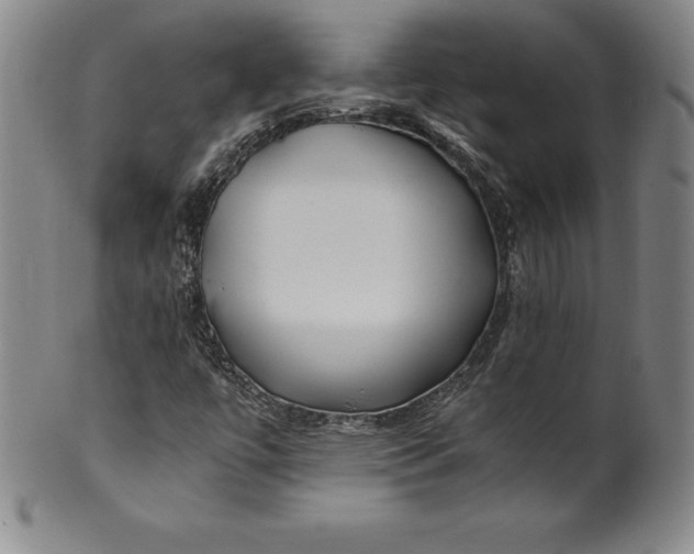 X0000100491447200806271226