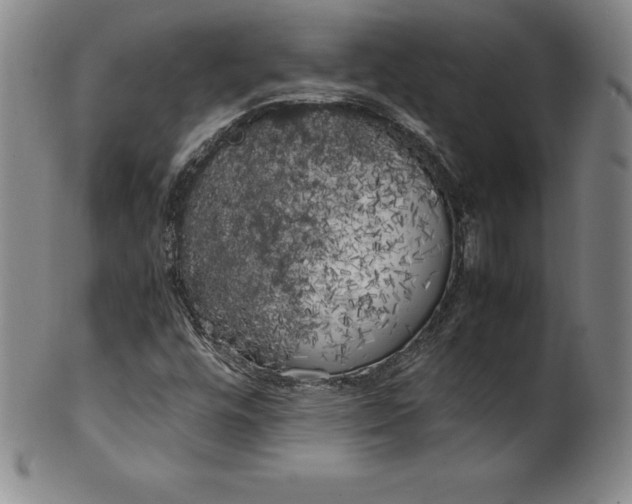 X0000100491448200806271226