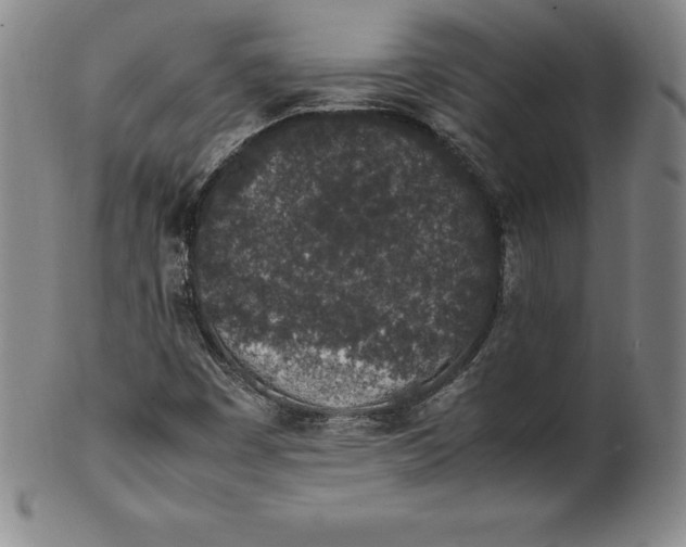 X0000100491449200806271226