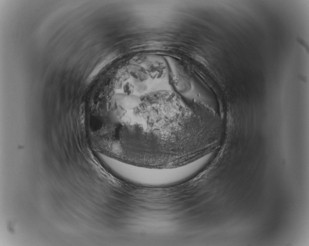 X0000100491450200806271225