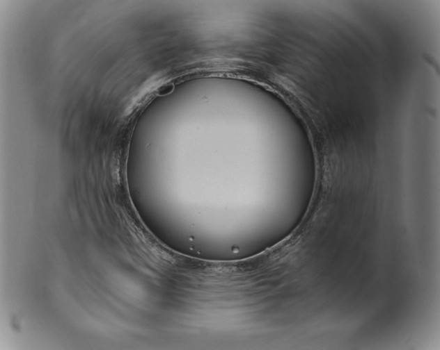 X0000100491451200806271225