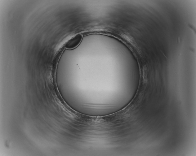 X0000100491452200806271225