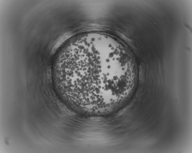 X0000100491453200806271225